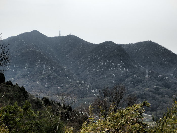 f0219710_10464894.jpg