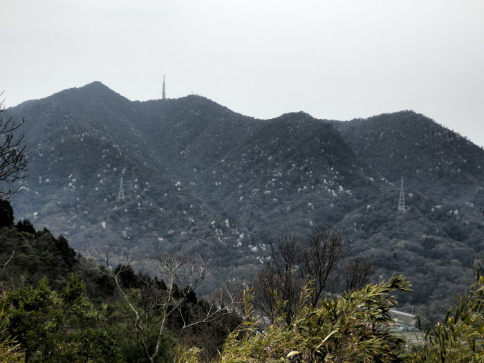 金ヶ燈篭山(531.9m)・城山(592.8m)_f0219710_10464894.jpg