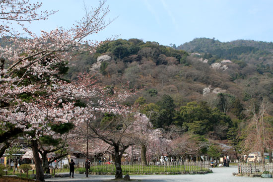 16桜だより17　嵐山2 渡月橋あたり_e0048413_18181421.jpg