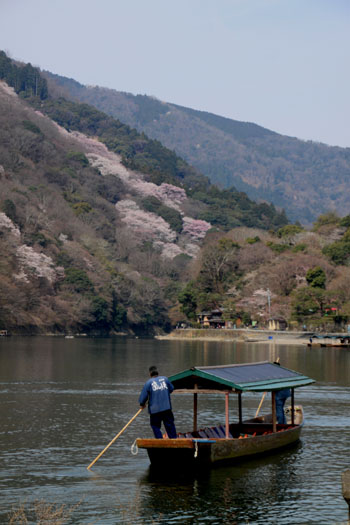 16桜だより17　嵐山2 渡月橋あたり_e0048413_1818399.jpg