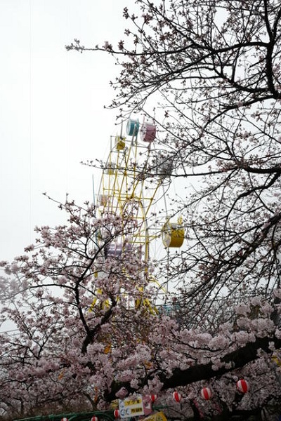 小雨の中のデジカメ撮影会★_f0223914_21254072.jpg