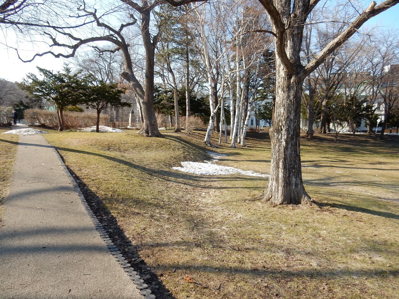今日はもう「他人」_c0025115_22105027.jpg