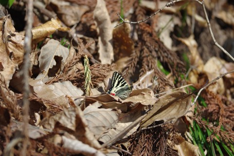 c0152317_16404030.jpg