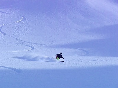 アラスカ遠征BCスキーツアー!!(スキー滑走編④)_a0353718_1339726.jpg