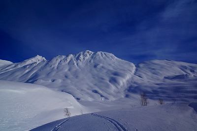 アラスカ遠征BCスキーツアー!!(スキー滑走編④)_a0353718_1461228.jpg