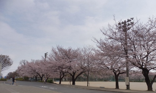 a0050728_16471578.jpg