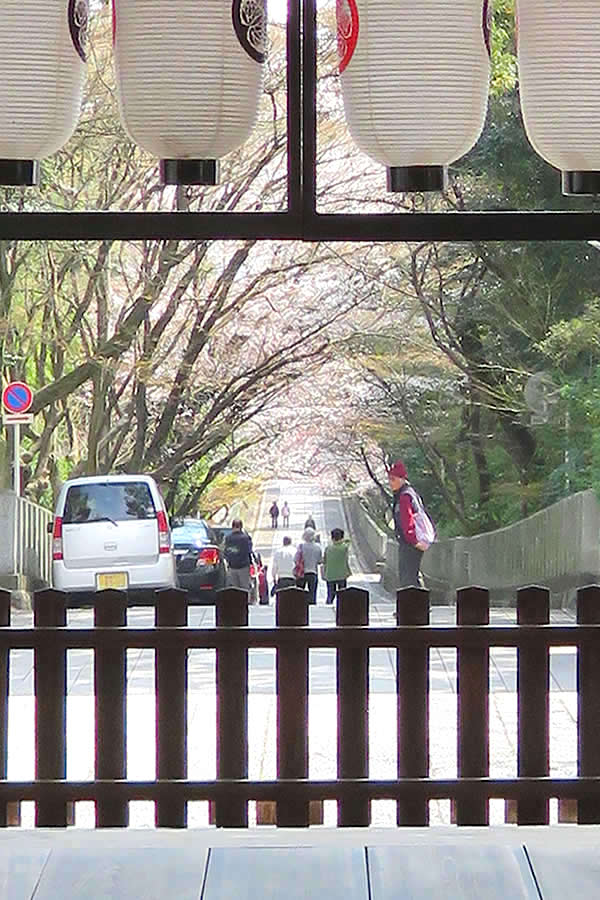 ぶらり京都-105 [向日神社・春の参道]_d0352628_11514985.jpg