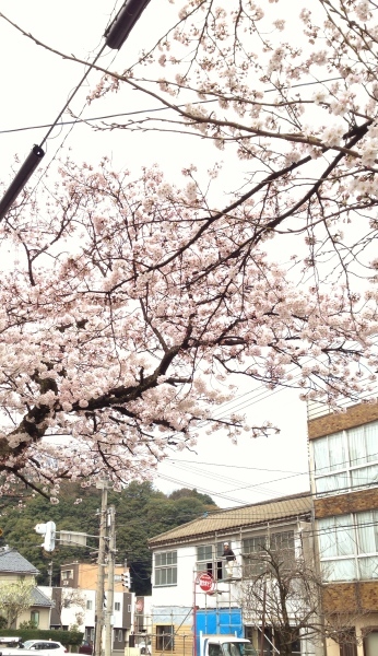 b0097729_23431054.jpeg