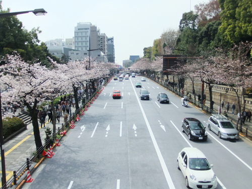 桜.桜の江戸の城下町..後編_b0137932_2115226.jpg