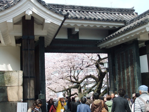 桜.桜の江戸の城下町..後編_b0137932_218976.jpg