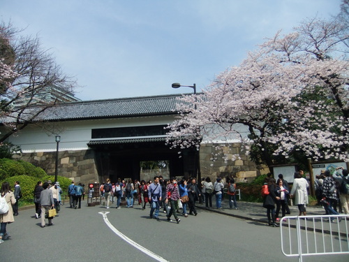 桜.桜の江戸の城下町..後編_b0137932_2195786.jpg