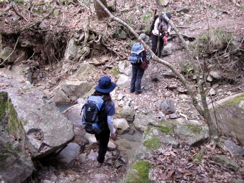 大岩岳に行ってきました_c0038434_1742198.jpg