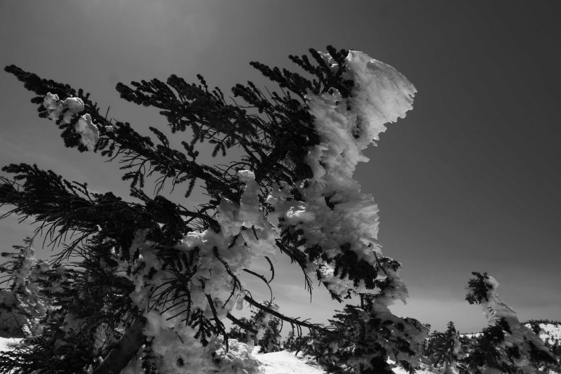 d0347140_11082591.jpg