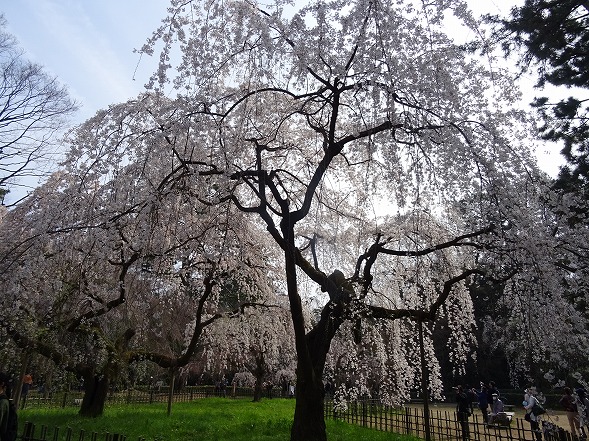 b0299042_13261578.jpg