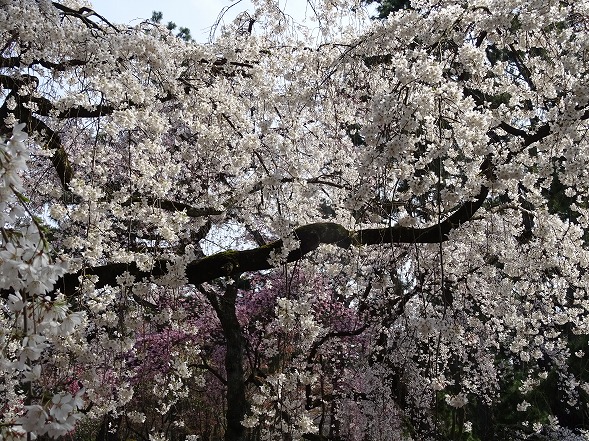 b0299042_13263696.jpg