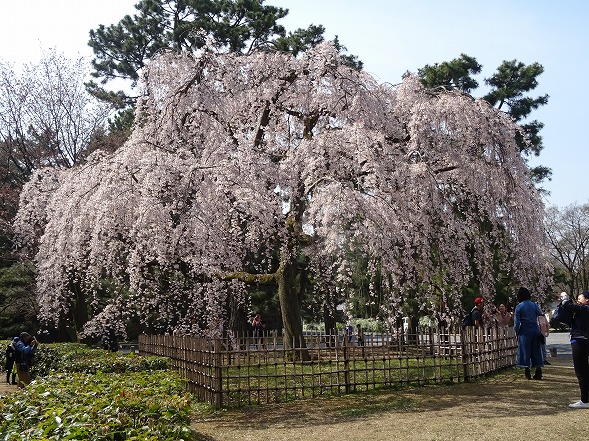 b0299042_13264149.jpg