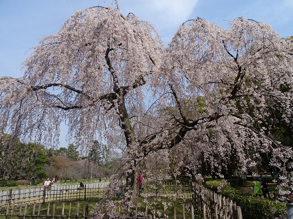 b0299042_13272439.jpg