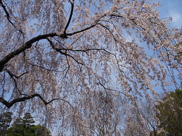 b0299042_1327273.jpg