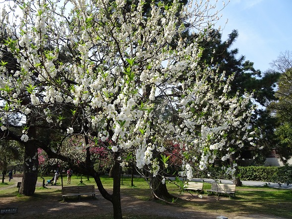 b0299042_18154136.jpg