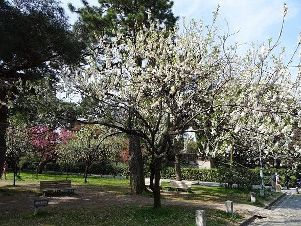 b0299042_18162617.jpg