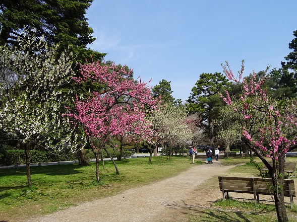 b0299042_18163557.jpg