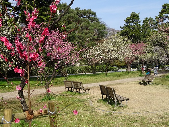 b0299042_18164484.jpg