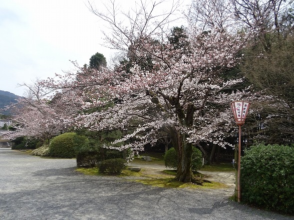b0299042_21194234.jpg