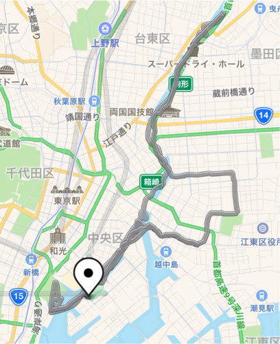 くぐった橋の数のべ80梁以上!ボートを操船しながら川からお花見してきたよ_c0060143_12594213.jpg