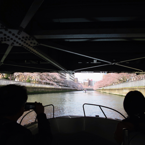 くぐった橋の数のべ80梁以上！ボートを操船しながら川からお花見してきたよ_c0060143_12594289.jpg