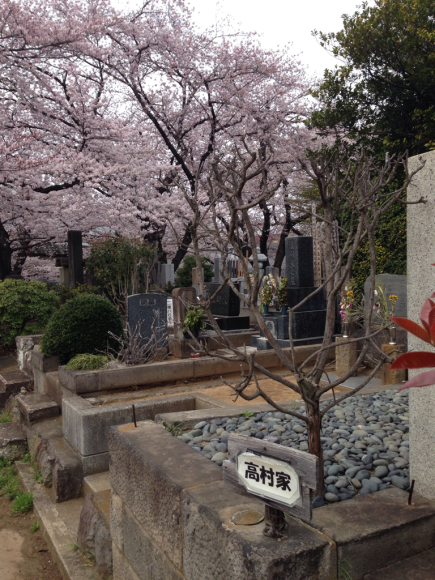 桜満開ですね_f0140343_16050159.jpg