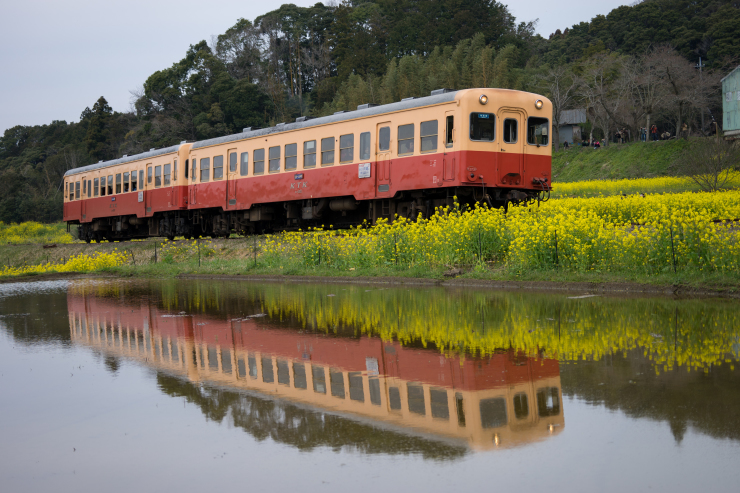 小湊鉄道_c0358647_14294460.jpg