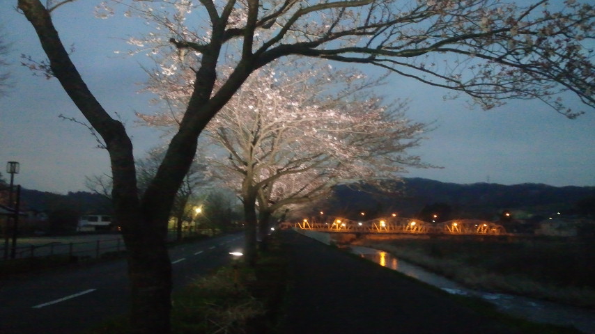 夜桜…ライトアップ中_f0046250_2357108.jpg