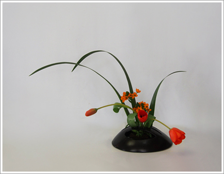 初めての生け花とは思えない Tamins の花と空と月と 初めての生け花とは思えない Tamins の花と空と月と