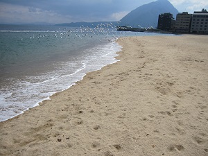e0090555_6505624.jpg