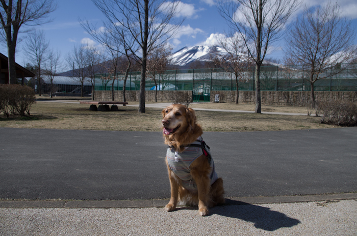 湯川ふるさと公園_c0134064_1892455.jpg