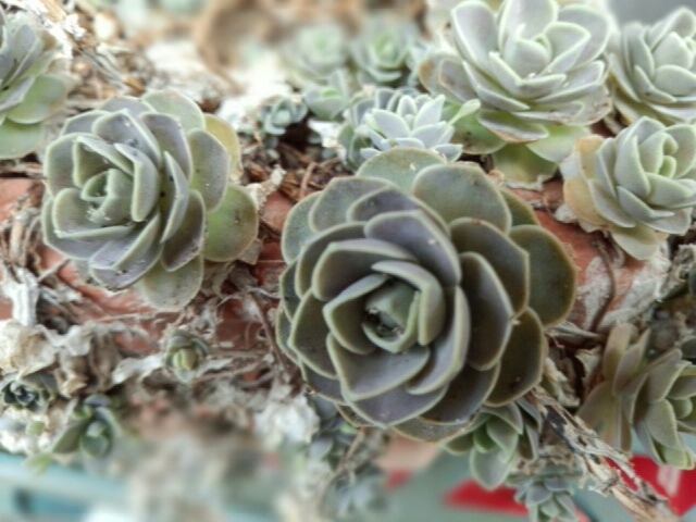 f0222164_10300329.jpg
