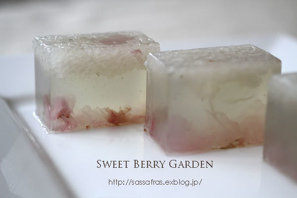 桜の道明寺羹 : Sweet Berry Garden