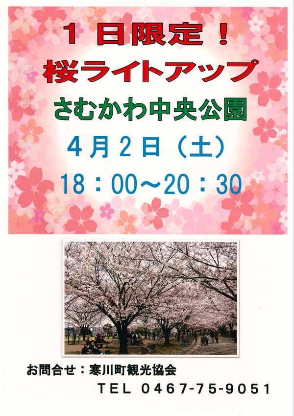 さむかわ中央公園 桜ライトアップ 寒川町観光協会ブログ 旧