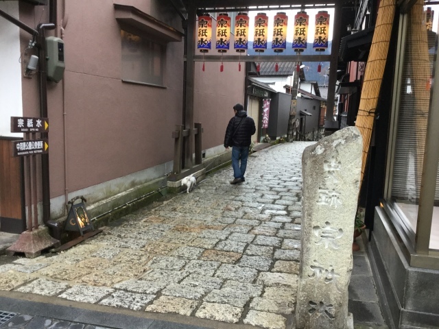 郡上八幡 街歩き_a0118079_17322145.jpeg