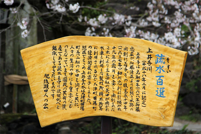 瀬田神社の桜_c0152779_11192812.jpg