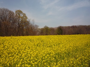 b0090284_1445015.jpg