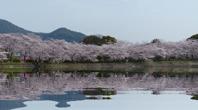 f0357487_034462.gif