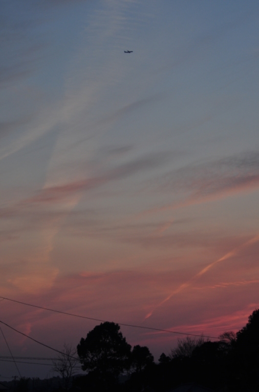 d0021491_20575155.jpg