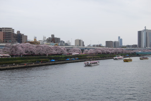 f0101201_1147491.jpg