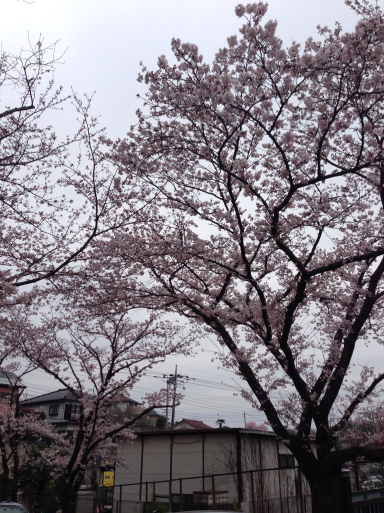 f0101201_15355156.jpg