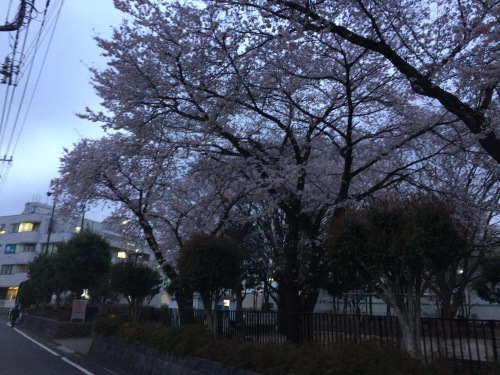 e0265002_21445360.jpeg