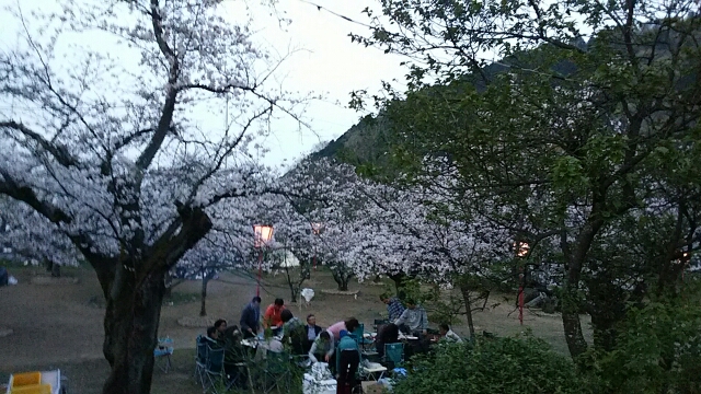 西条市の武丈公園の夜桜…2016/4/2_f0231709_21245371.jpg