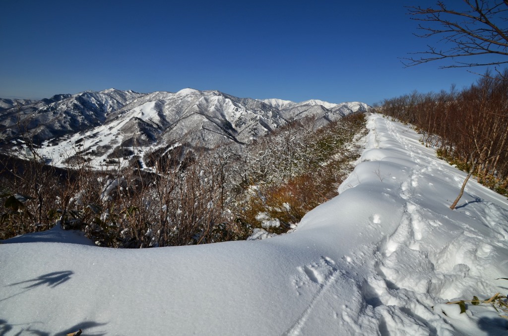 2016/3/26 平標山　（松手山コース）_a0340812_17114772.jpg