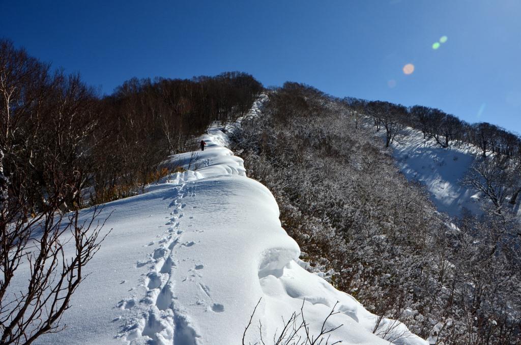 2016/3/26 平標山　（松手山コース）_a0340812_17122787.jpg