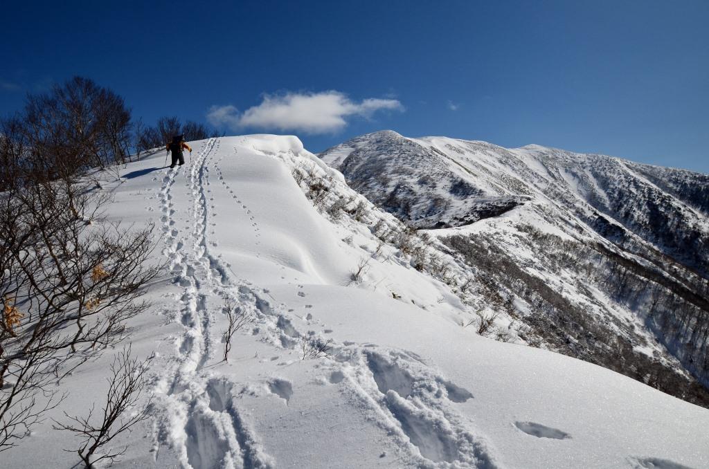 2016/3/26 平標山　（松手山コース）_a0340812_17151074.jpg